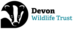 Devon Wildlife Trust logo