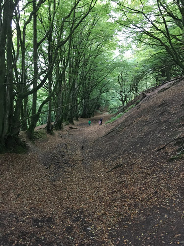 Explore the hidden wonders of Hembury Fort, bring history to life.