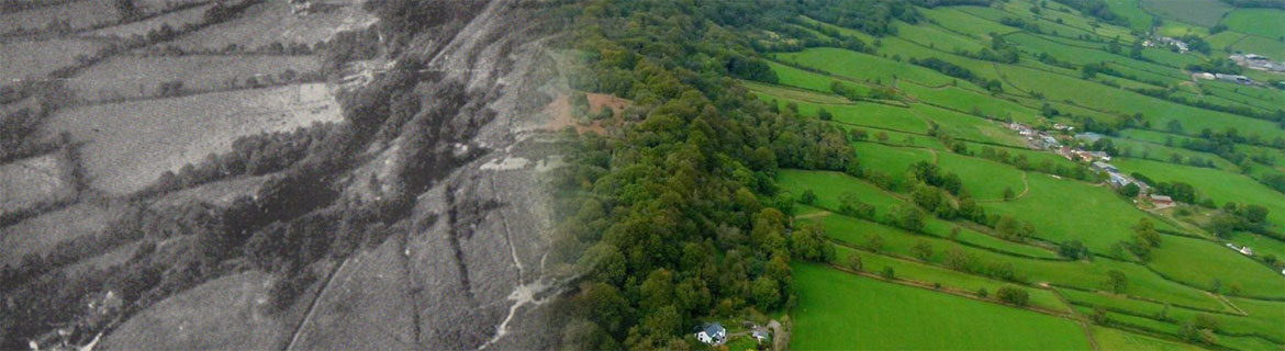 Aerial view of Hembury in the 1930's and present day combined.