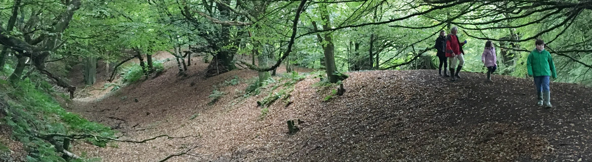 Explore the hidden wonders of Hembury Fort, bring history to life.