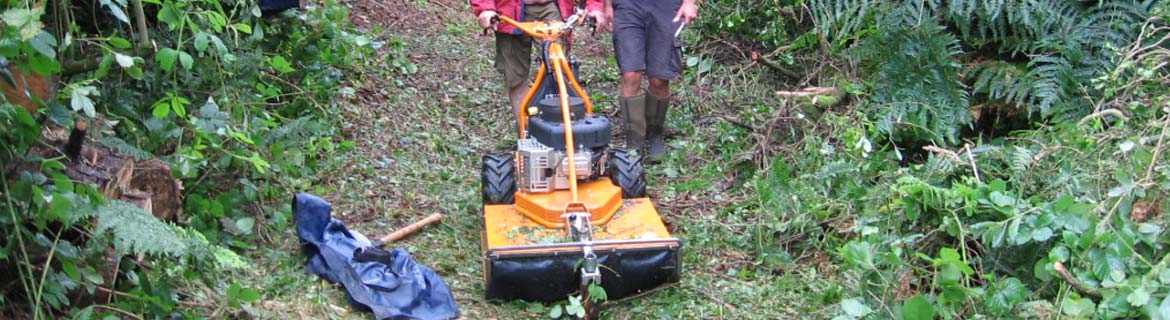 Winter works 2015/2016 at Hembury Fort to improve and protect it's furtue.