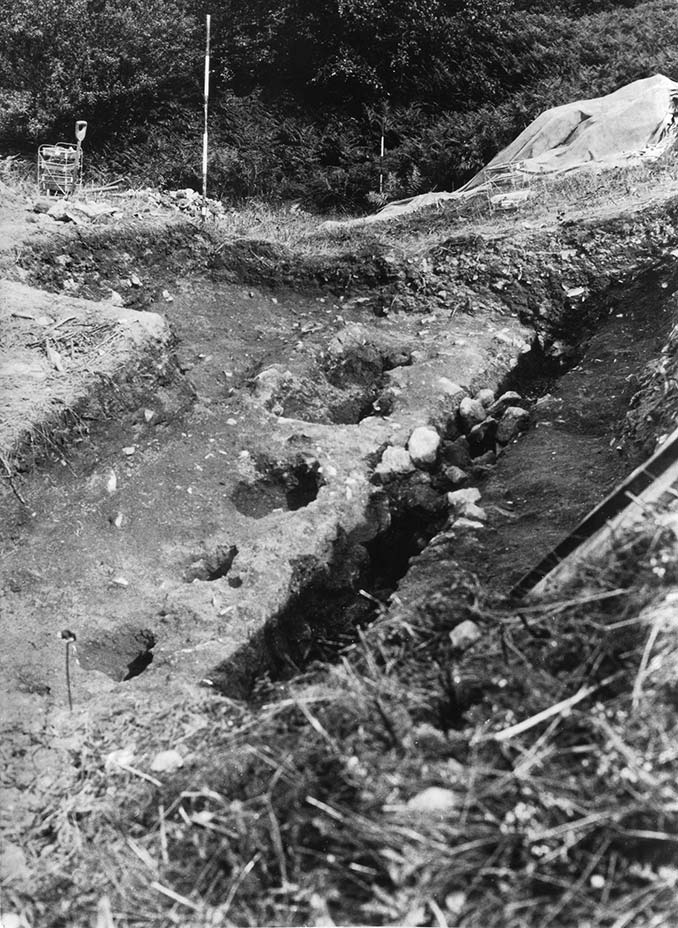 Hembury Fort 1931 cIII C & D looking south